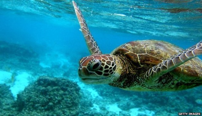 Labuan Marine Park