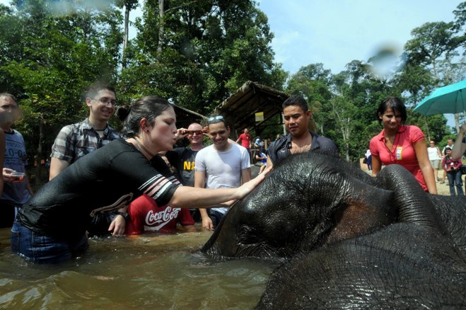 National Elephant Conservation Centre Pahang