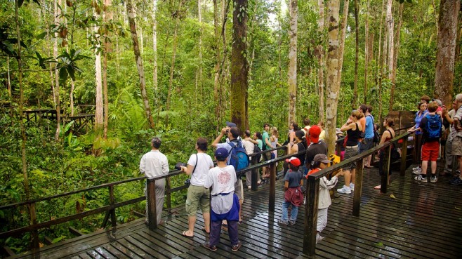 Semengoh Wildlife Rehabilitation Centre