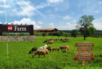 UK Farm
