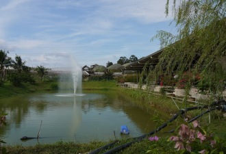 Zenxin Organic Park