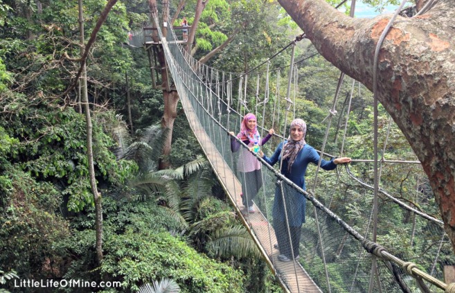 KL FRIM canopy tour