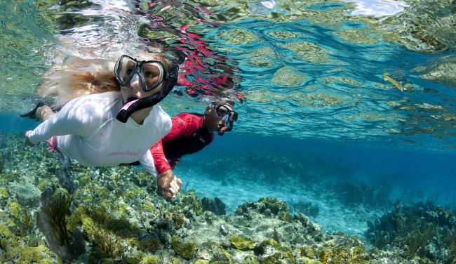 Tioman Snorkeling Tour