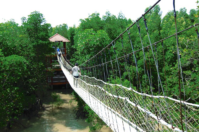 Pulau Kukup Johor National Parks