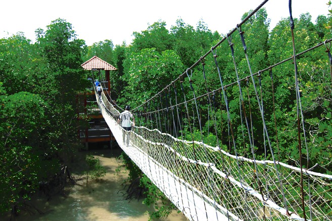 Pulau Kukup National Park