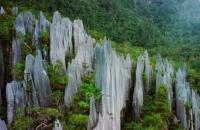 Gunung Mulu National Park