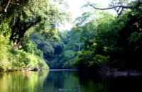 Kuala Koh National Park