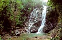 endau rompin state park