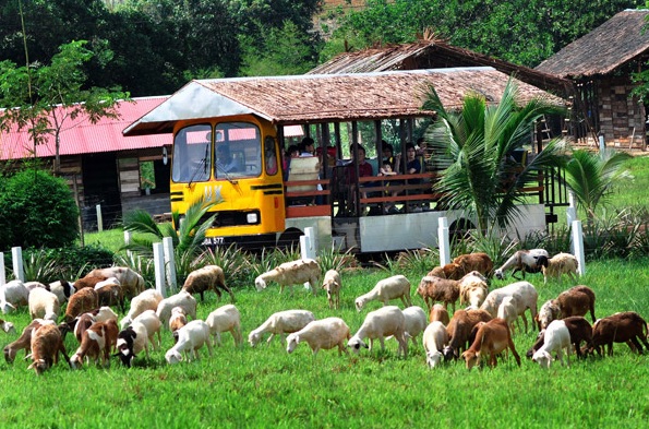 UK Farm Package