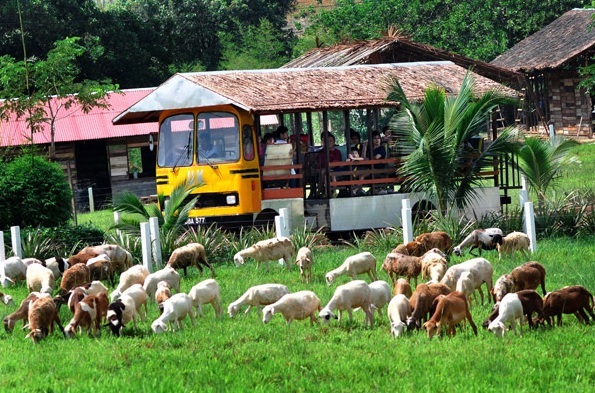 UK Farm Package