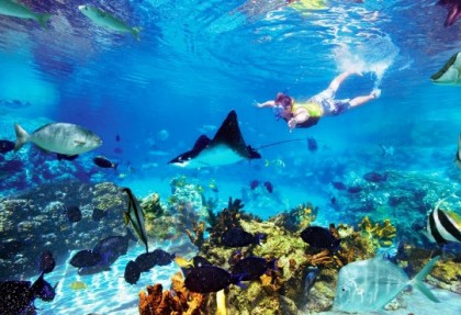lang tengah d coconut resort snorkeling tour