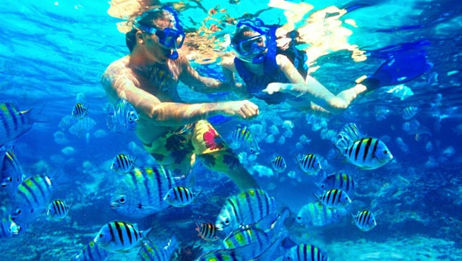 lang tengah snorkeling tour