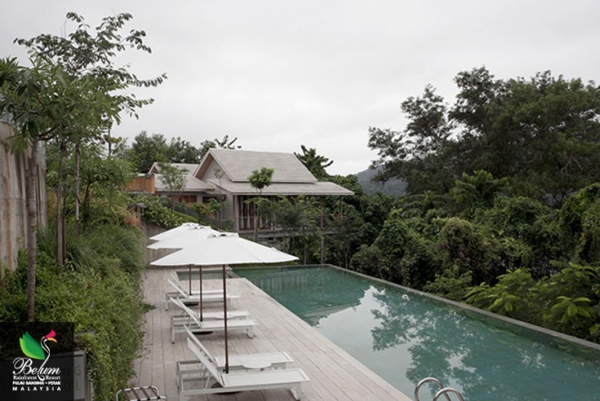 Belum Rainforest Resort Swimming Pool