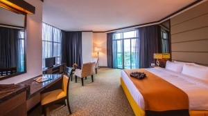 Adya Hotel Executive-Suite