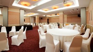 Adya hotel - Ballroom