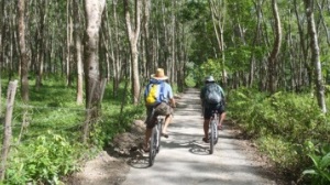 Langkawi Half-Day Cycling Tour