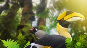 Langkawi-bird-watching-tour
