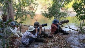 bird watch tour
