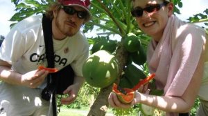 experience pick your fruit in langkawi