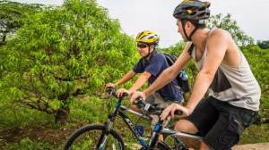 half day langkawi cycling