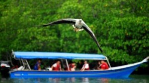 langkawi-island-hopping