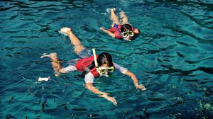 pulau payar trip