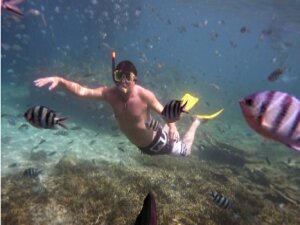 snorkeling