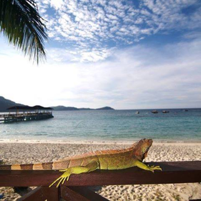 perhentian island resort