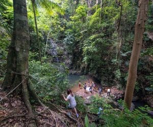 Tad Marine Resort Jungle Trekking