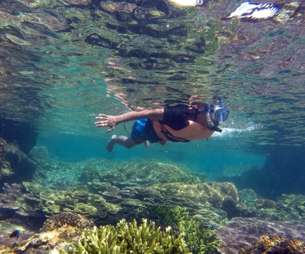 Tenggol Coral Beach Resort Snorkelling