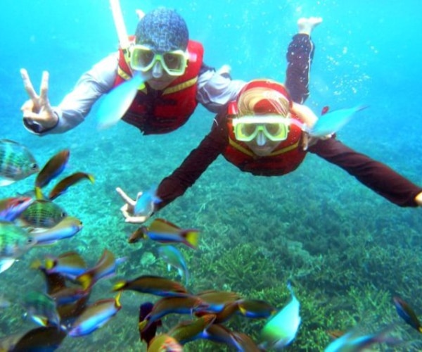 Tenggol Coral Beach Resort Snorkelling
