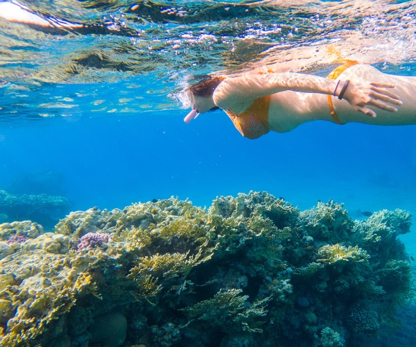 Tenggol Coral Beach Resort Snorkelling