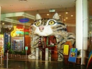 shop