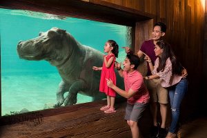 Lost World Zoo