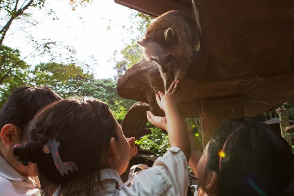 Lost World Petting Zoo