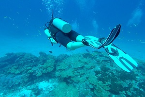 Lipe Scuba Diving 2