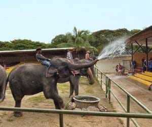 A Famosa Zoo