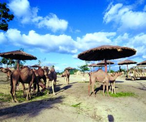 A Famosa Zoo