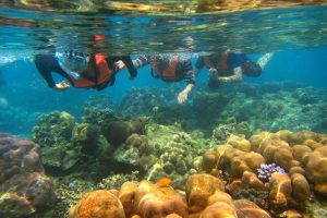 Snorkeling