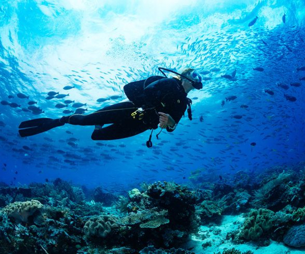 the barat perhentian