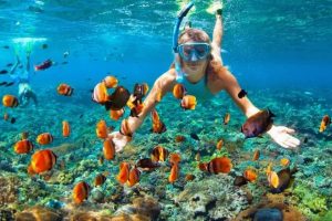 Island Snorkeling