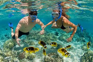 Island Snorkeling