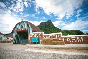 Hua Hin Swiss Sheep Farm