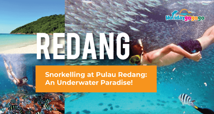 redang snorkelling banner post-04 (1) (2) (1)