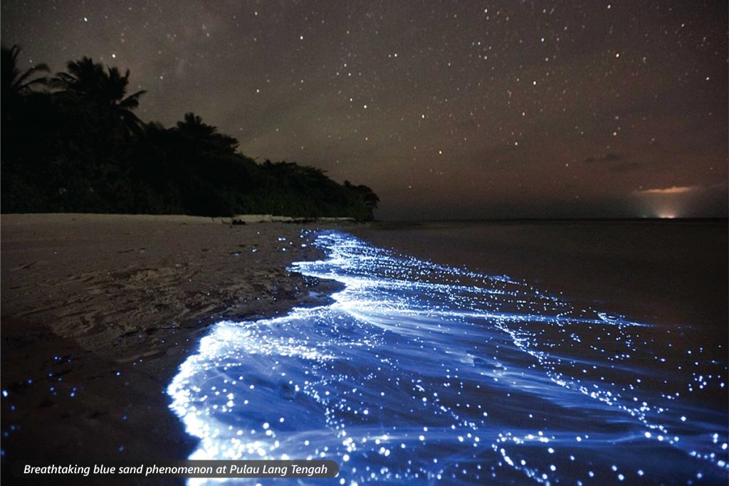 Blue Sand (blue tears) at the beach