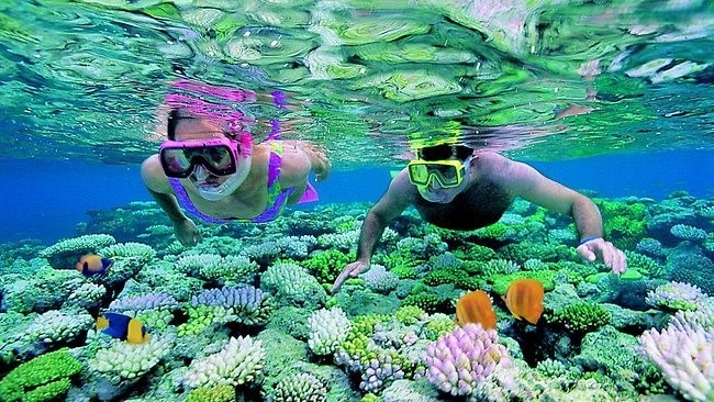 snorkeling at pulau redang