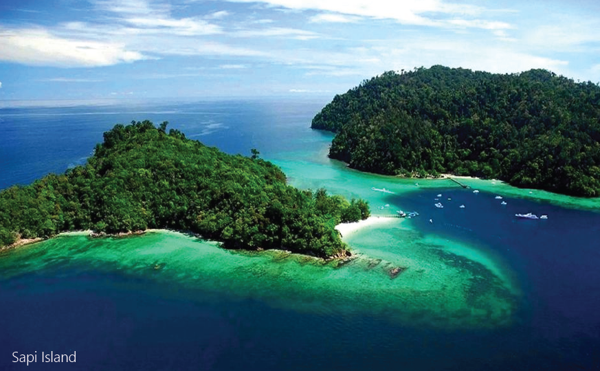 Sapi Island Malaysia