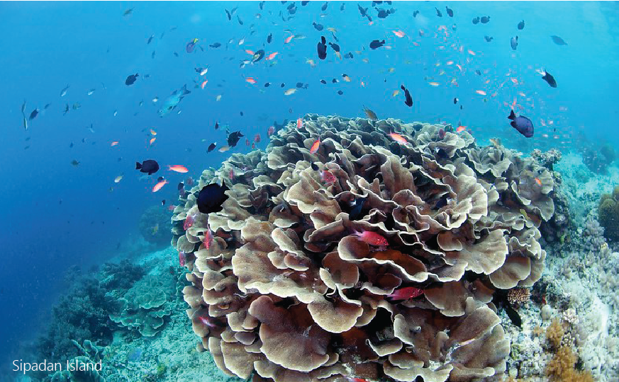 Sipadan Island Malaysia