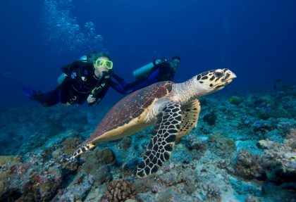 Gemia Island Resort Diving