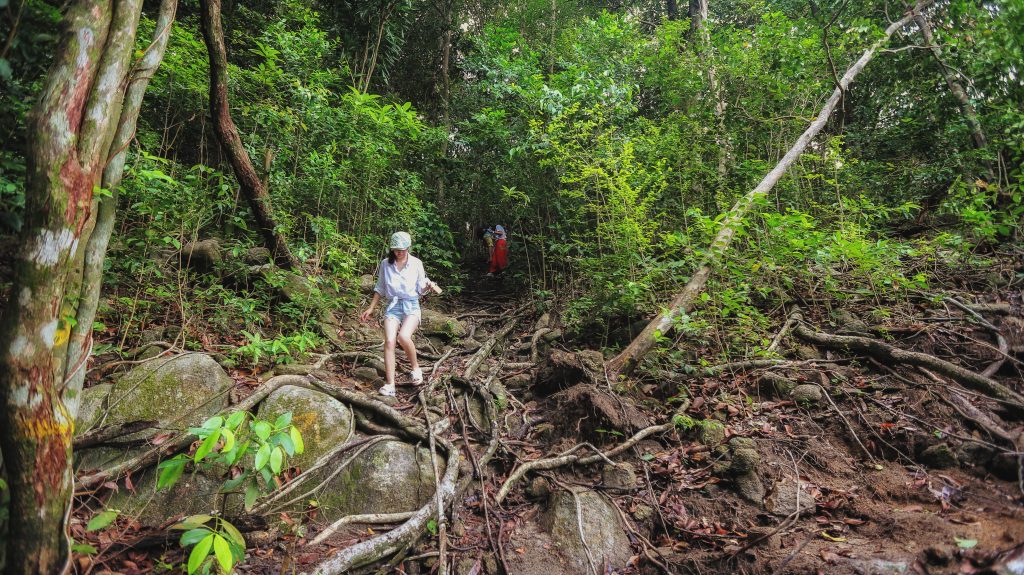 Summer Bay Lang Tengah Island Resort Jungle Trekking